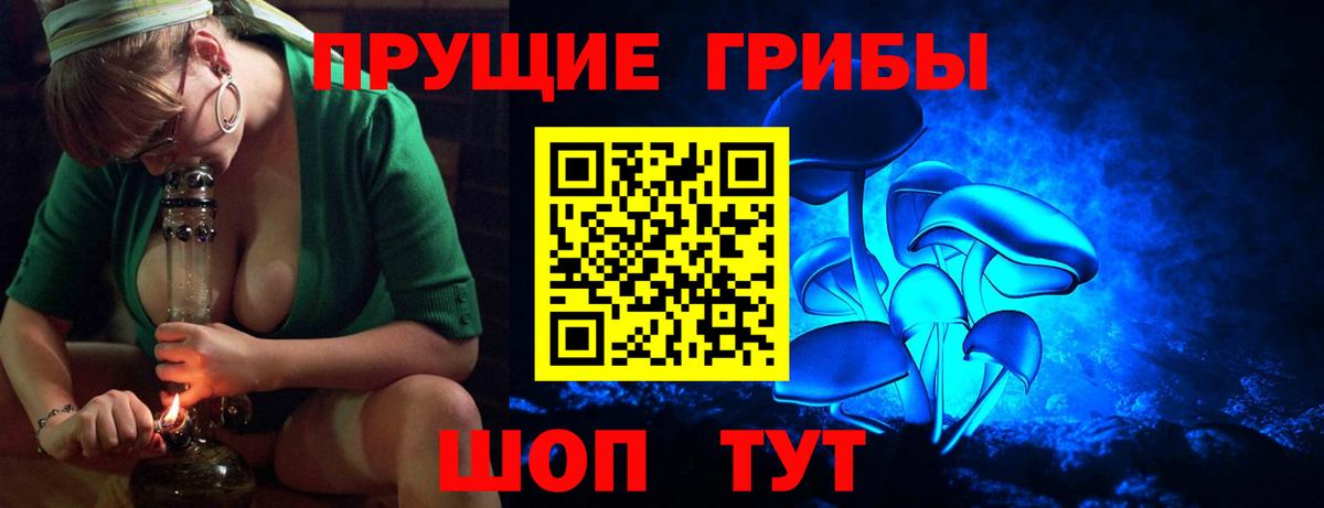 Псилоцибиновые грибы прущие грибы Октябрьский